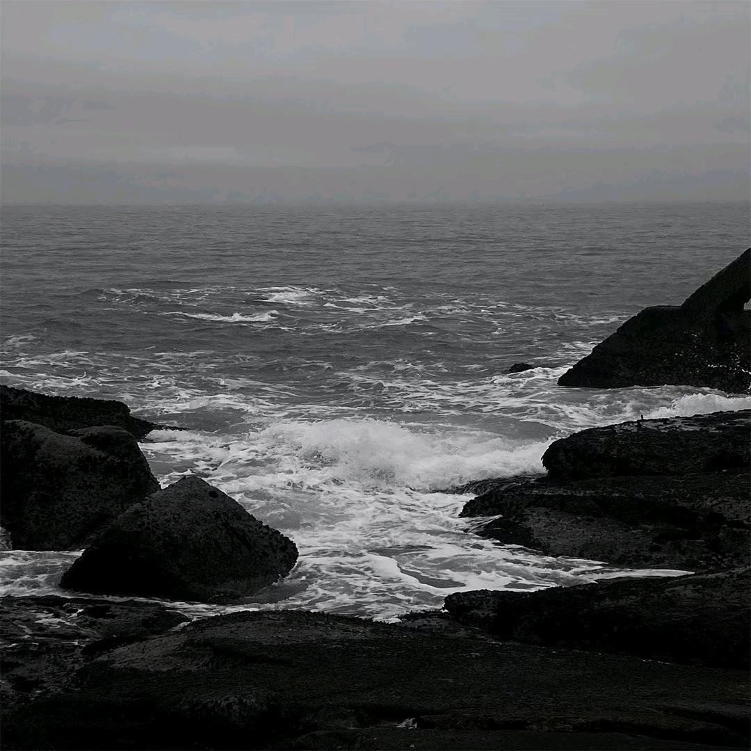 ㅤㅤㅤㅤㅤㅤㅤㅤ