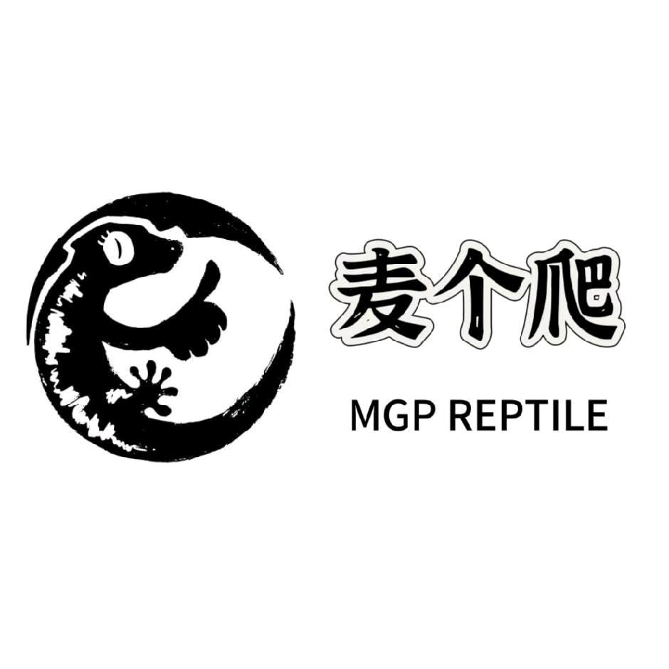 麦个爬·爬宠专售七宝店