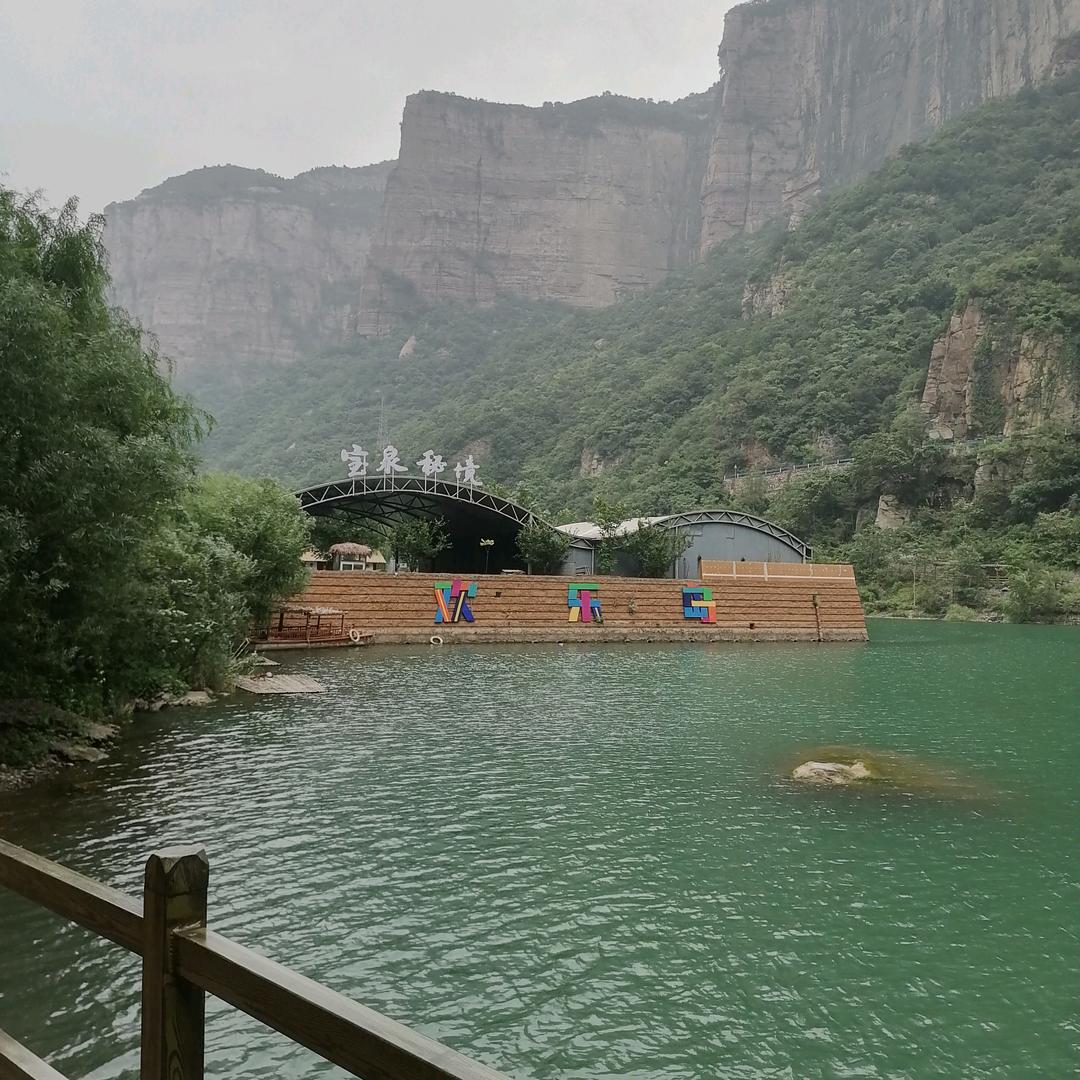 杨柳依依
