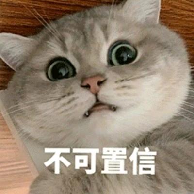 给我懂完了