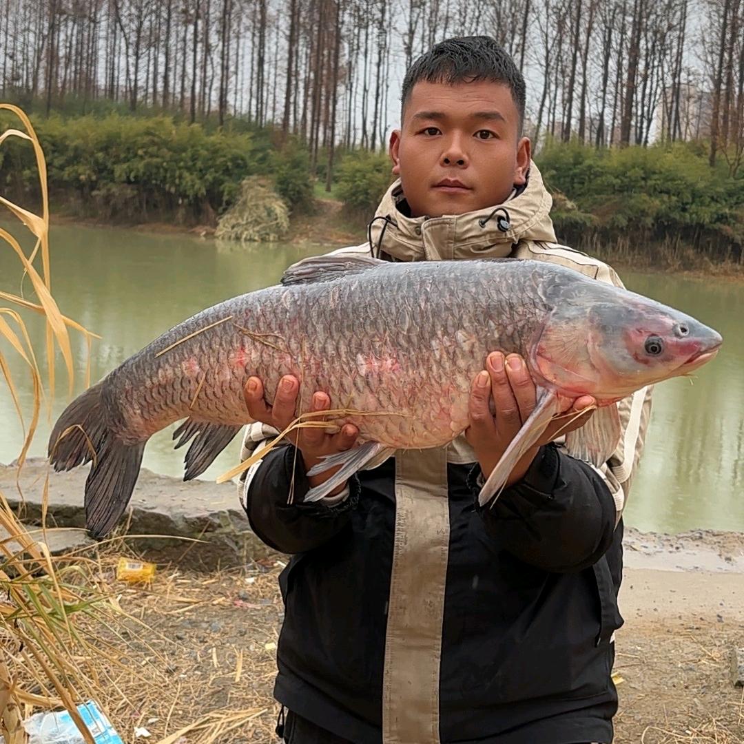 小黑爱钓鱼🎣（野战版）