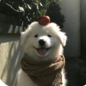 难遇😈