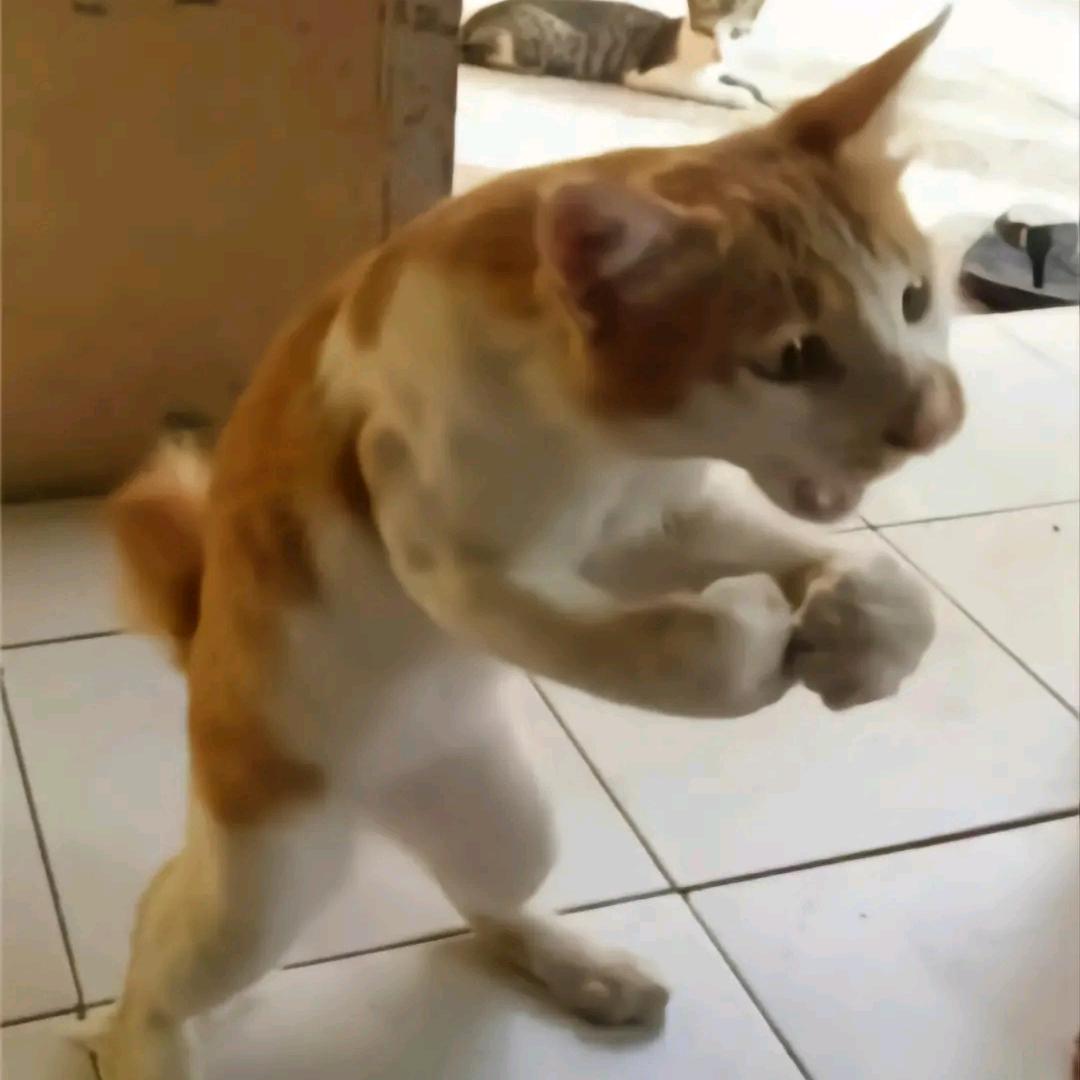 没睡醒