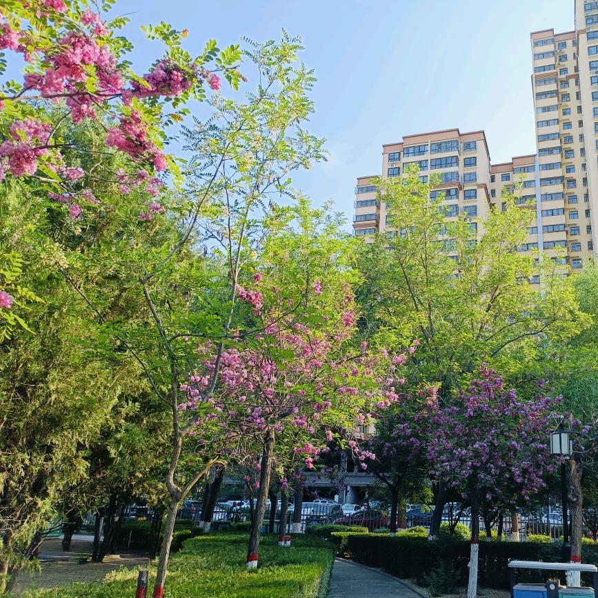 ঞᩚ᭄㞮孞এº᭄