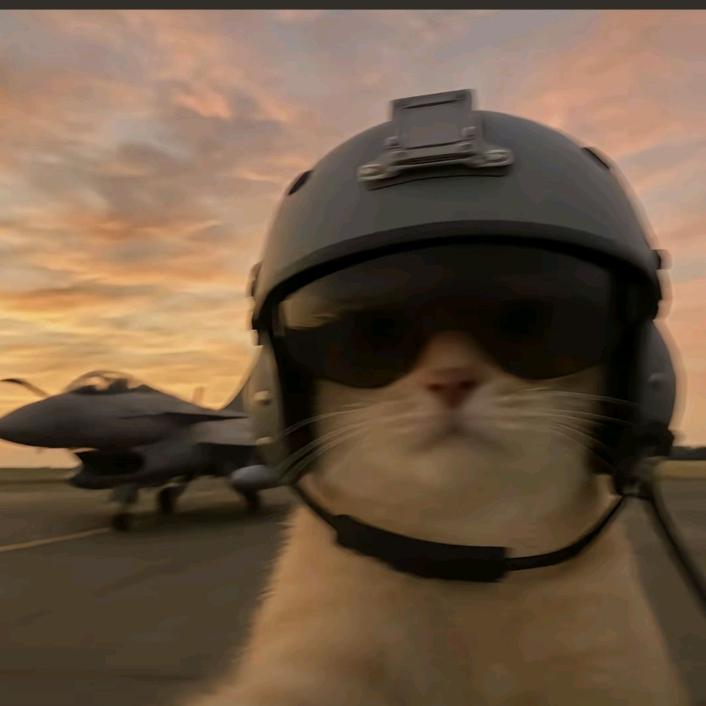 陈氏阳光鲜果生活4号