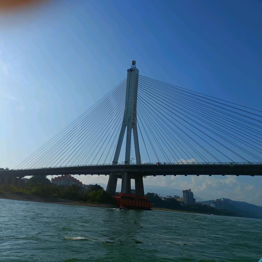 陈柒安