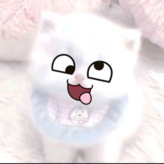 喵 ੭