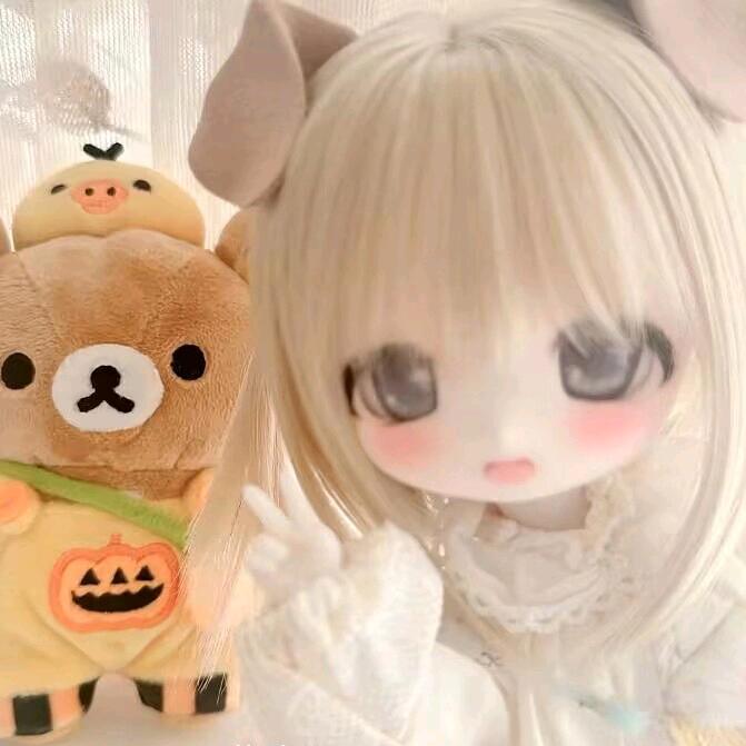 慕雪💞