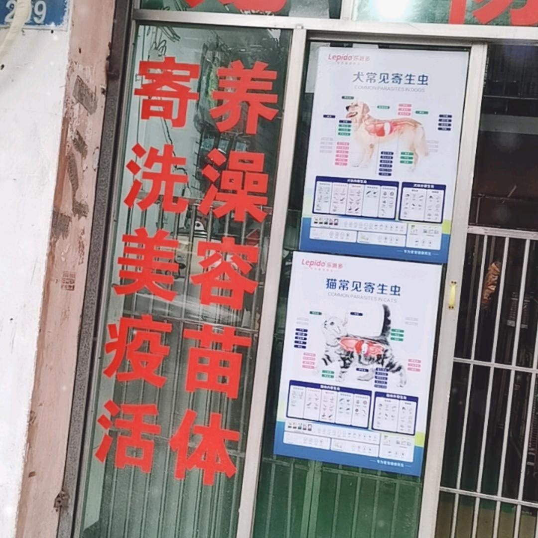 永川二姐宠屋（拒私聊）