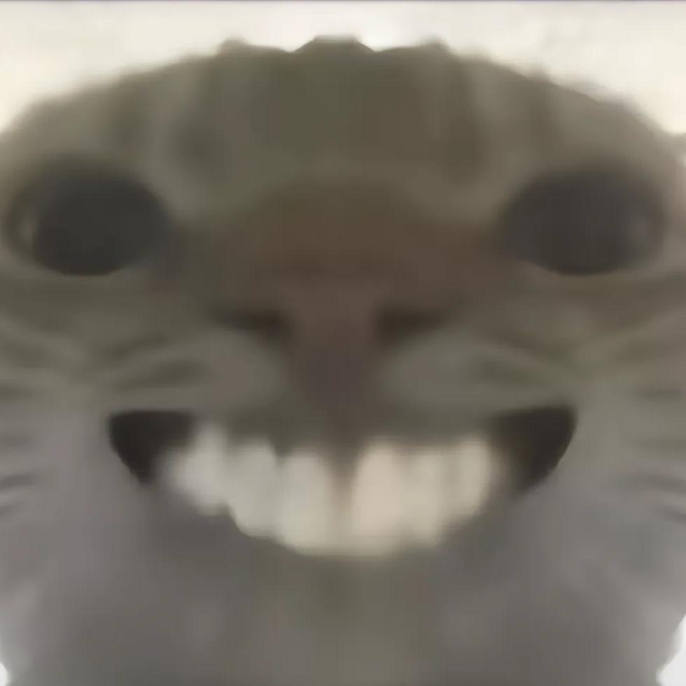 晚安跑刀（三角洲行动）