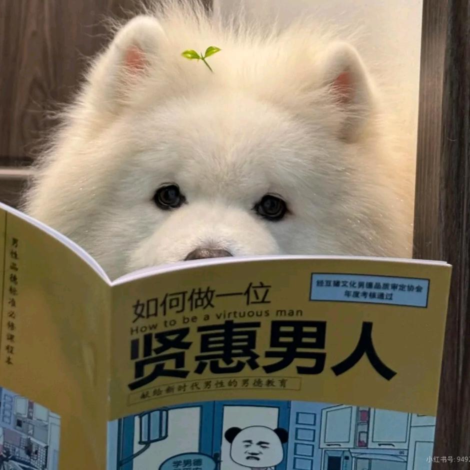 llllli