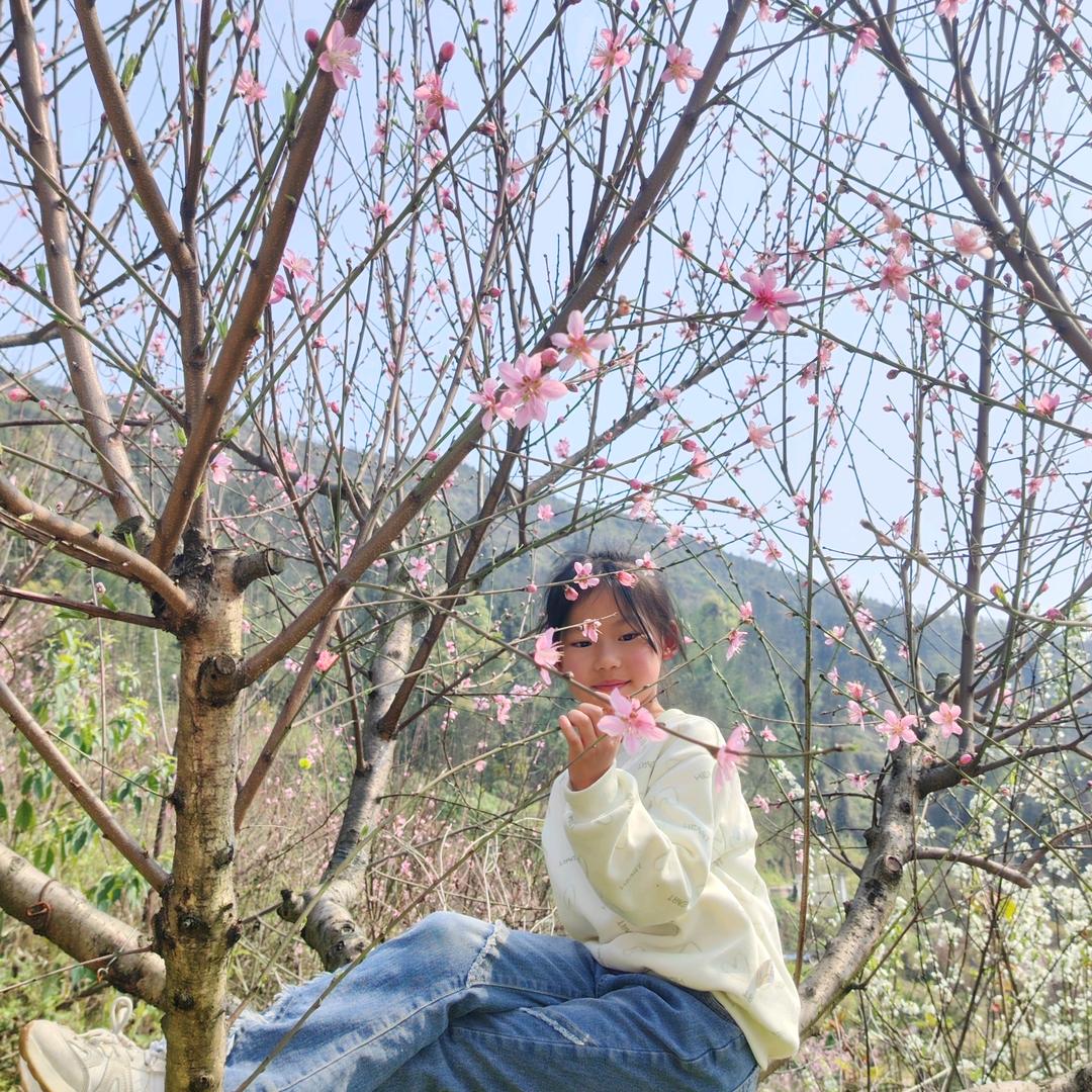 小琪琪