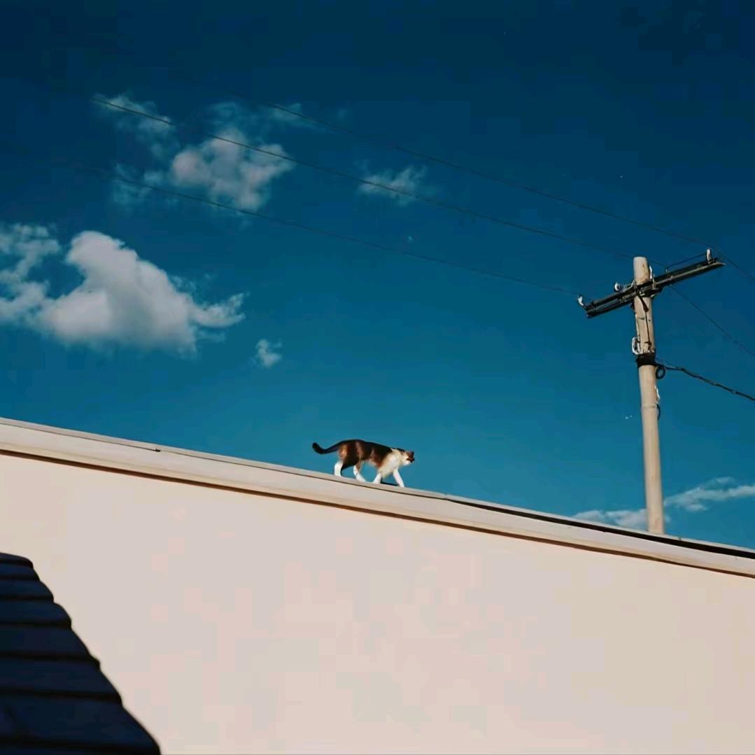 时迁.