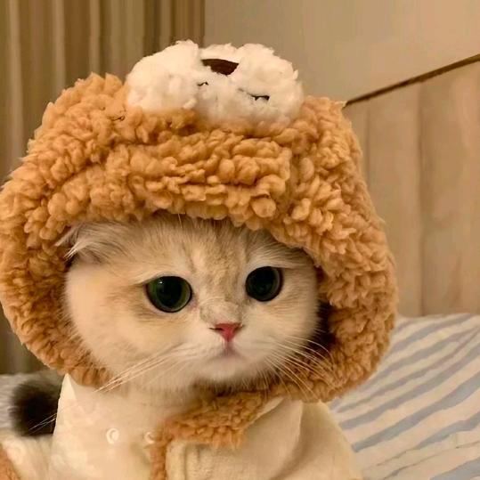 反骨长到天灵盖