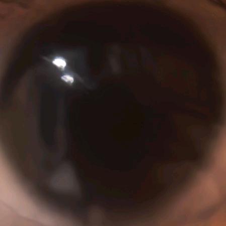 蛋名:沈慧瑜(专门拍翻唱)