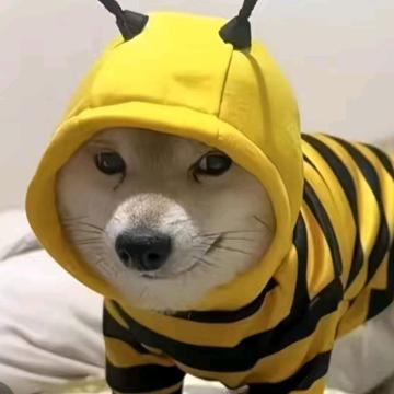 🌈可是起风了🌈