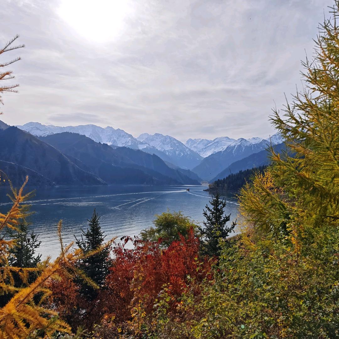 🌈🌈🌈小猪快跑