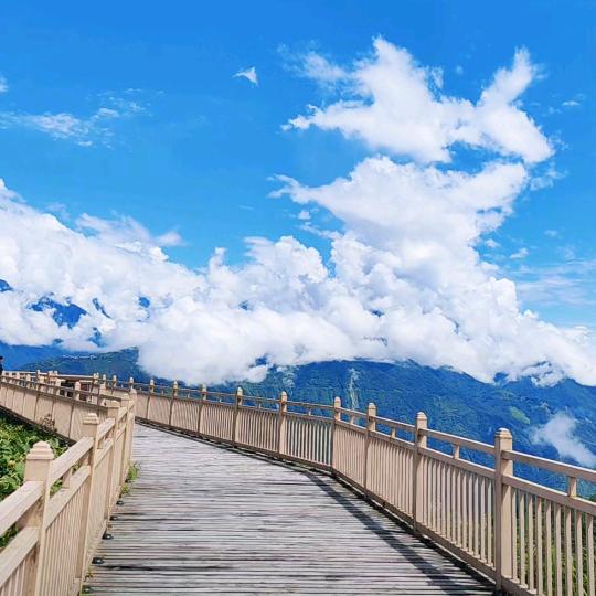 扶摇直上九万里🚀