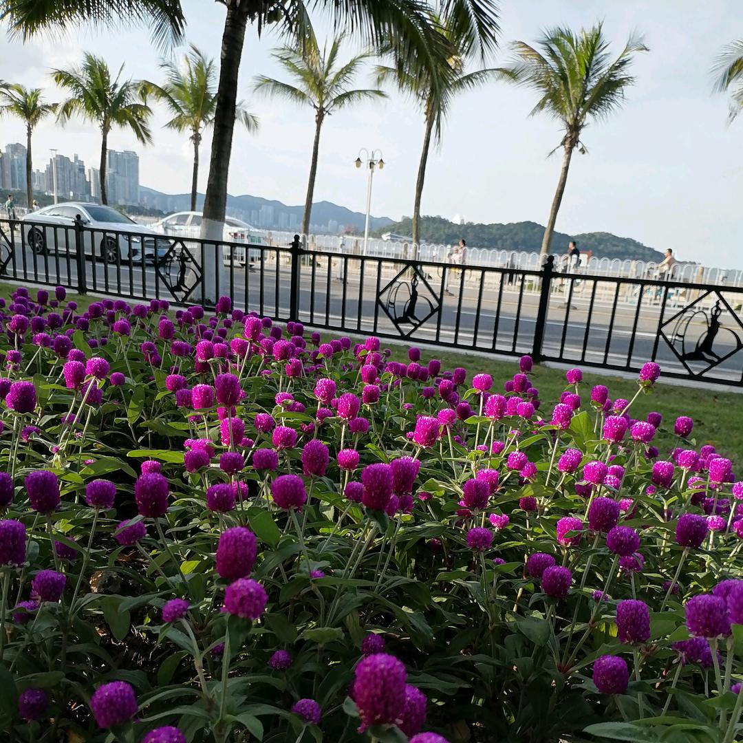 帅头像