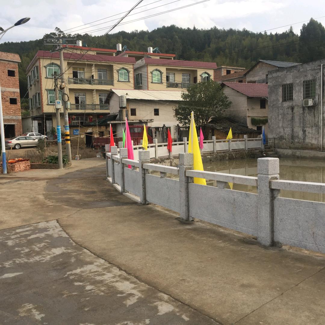 王亮红
