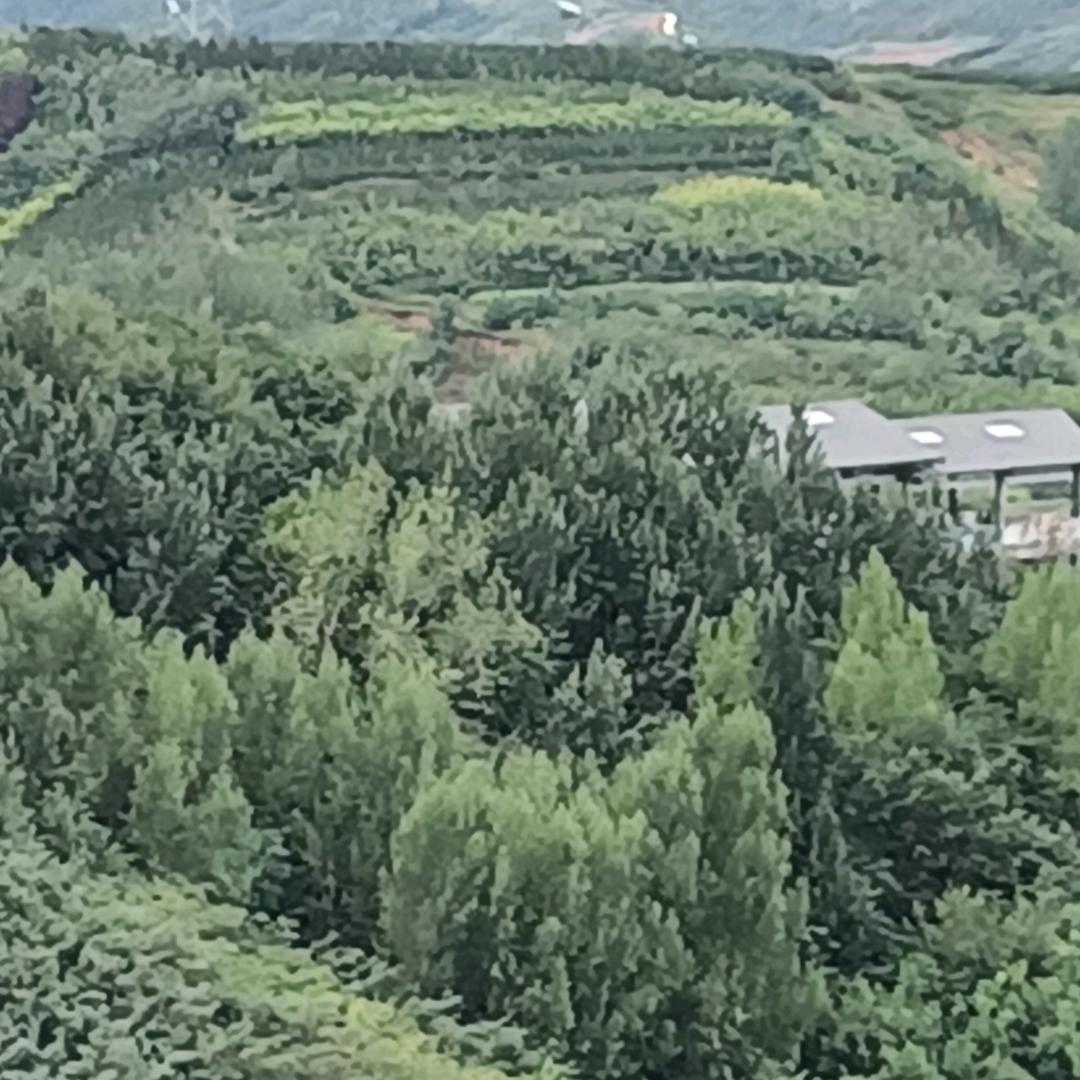 余生好好爱自己