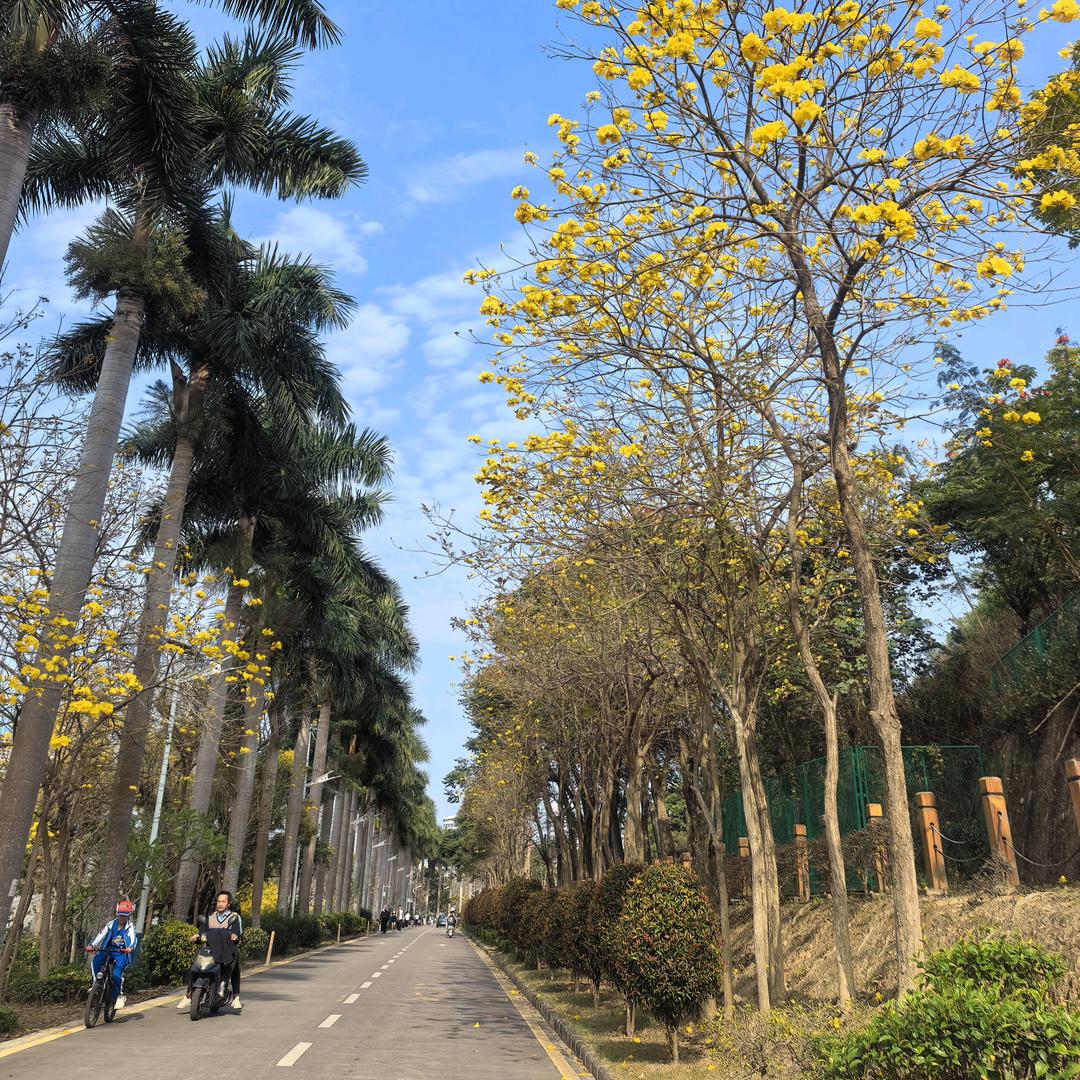 青春依旧