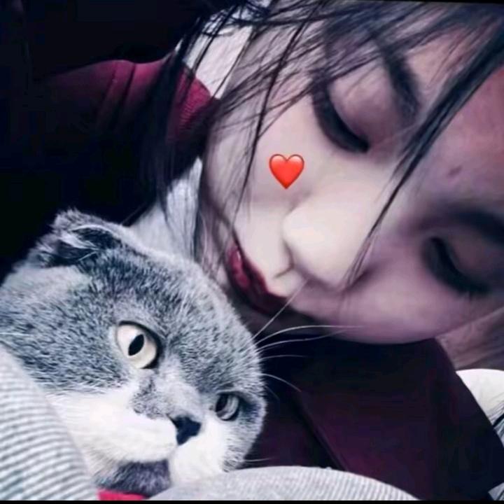 ℳ̶̶̶̶♡̶҉深情ℳᥫᩣ