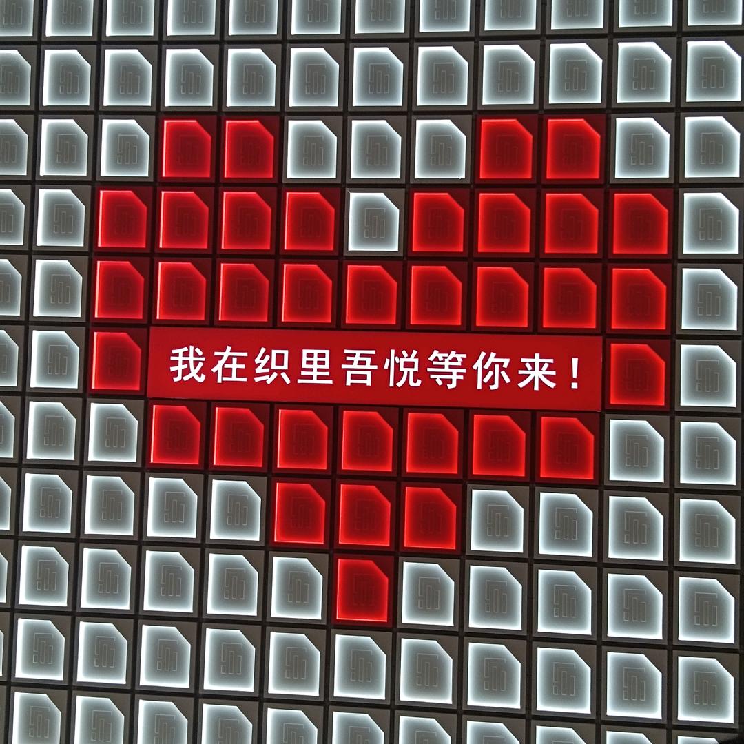 🌿壹葉知秋💰