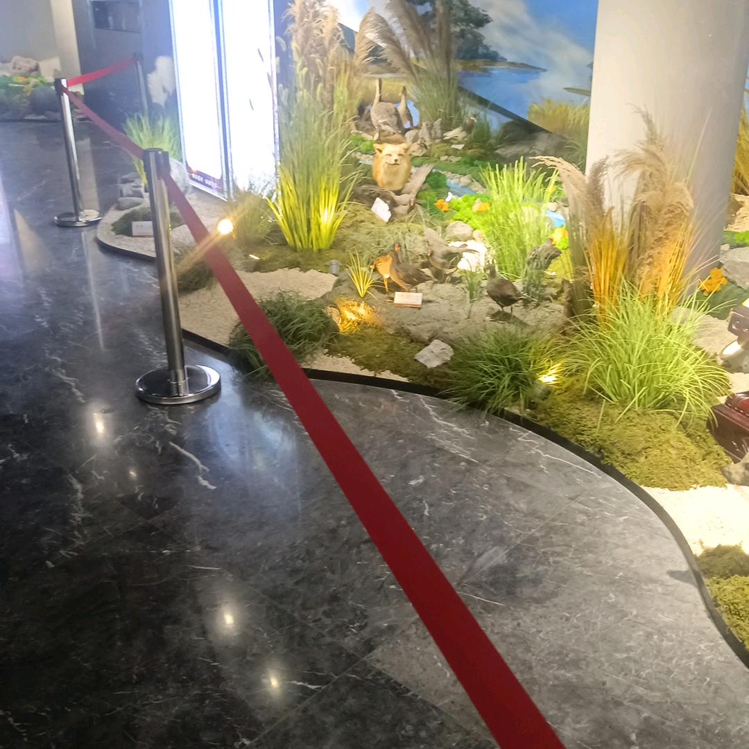 一切顺其自然.