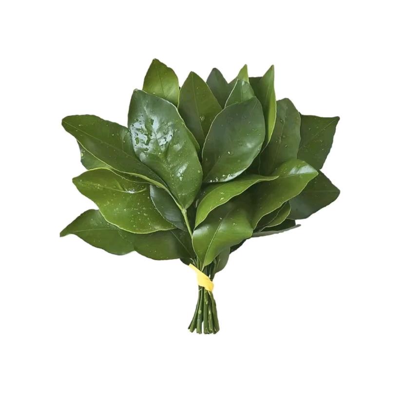 你是否·