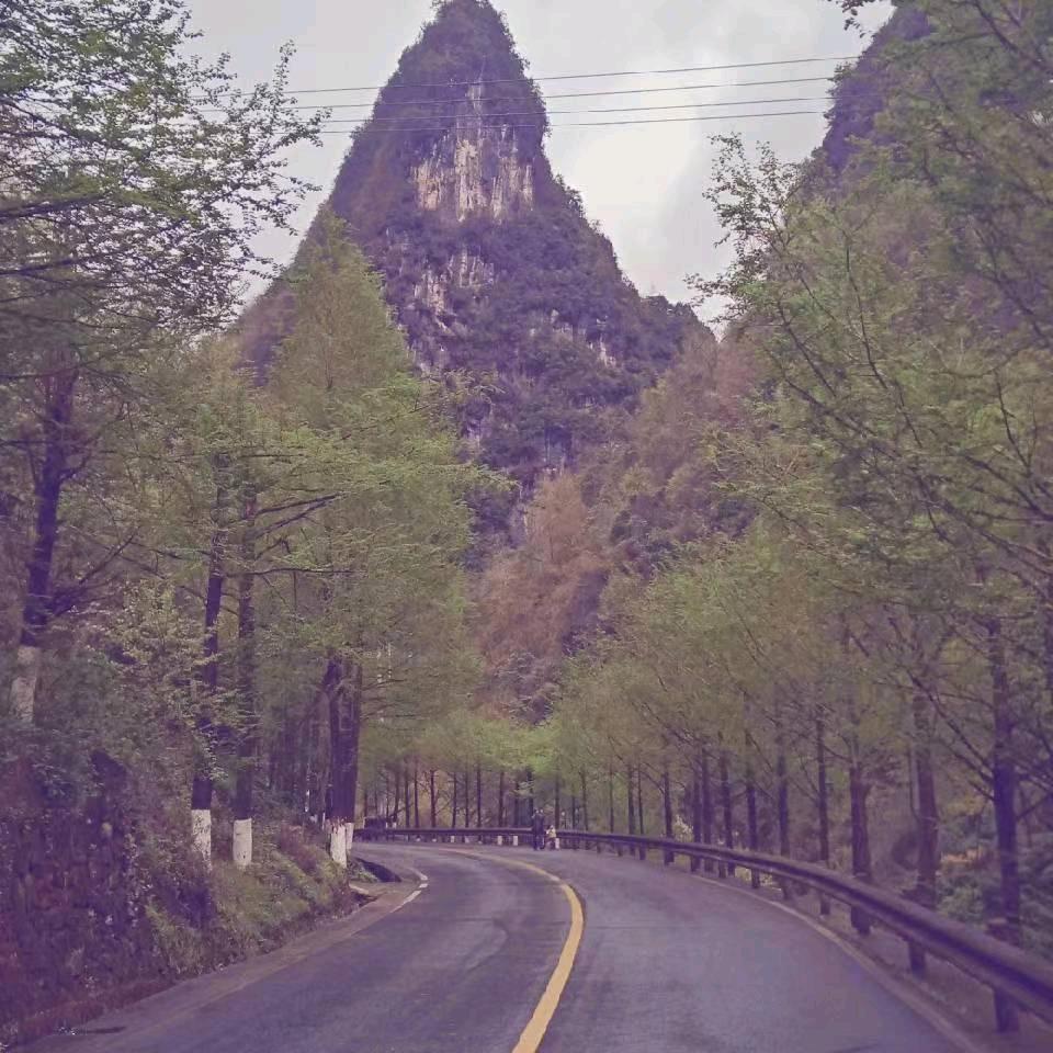 水果哥，7465187178678