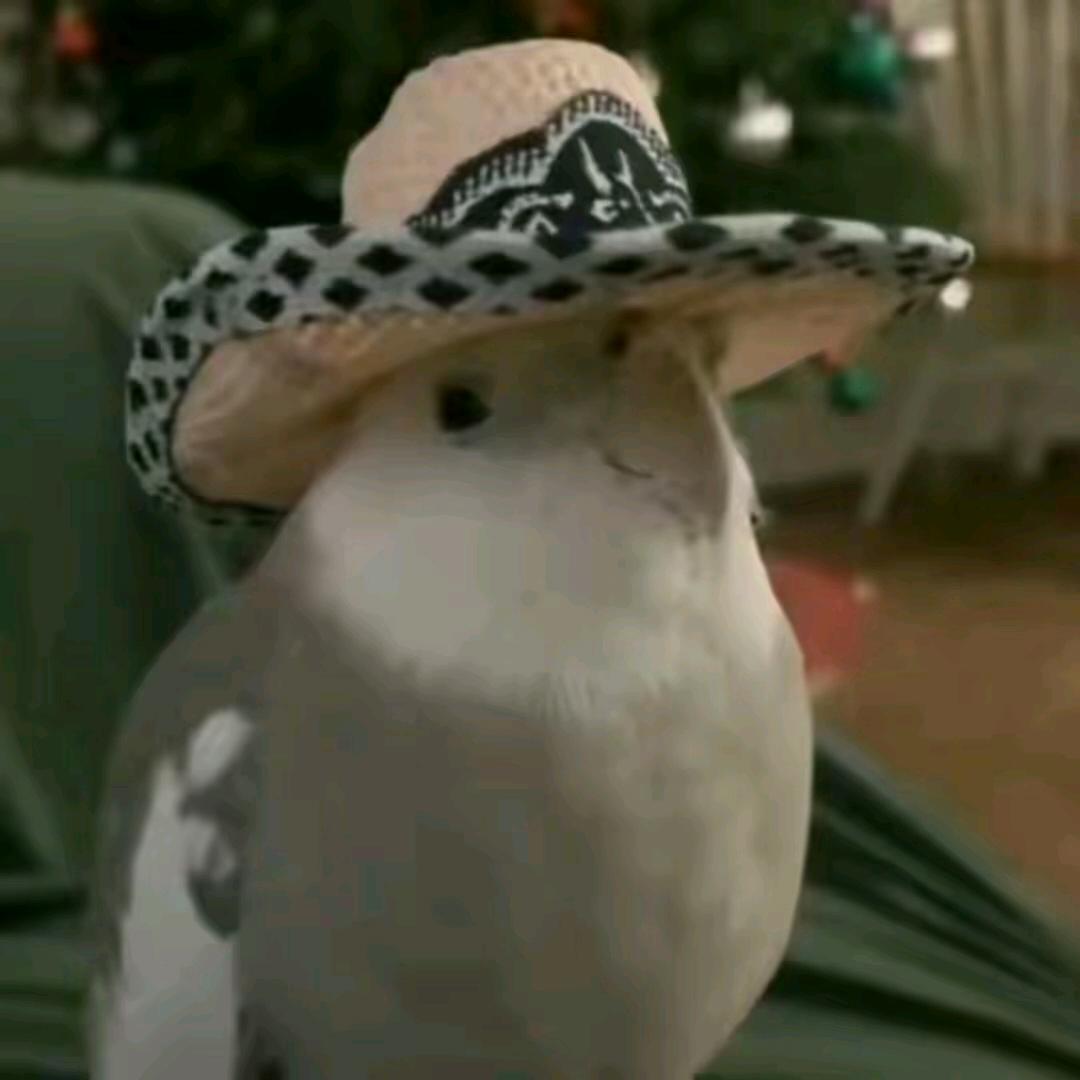 🌊🌊