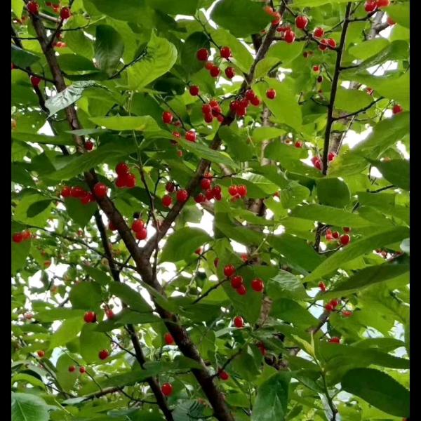 ε٩(๑>余生爱自己<)۶ з