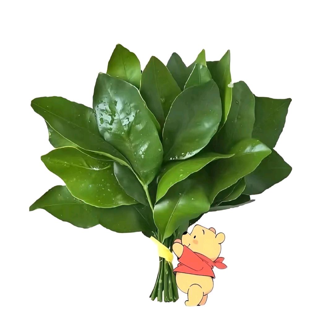 @那份情