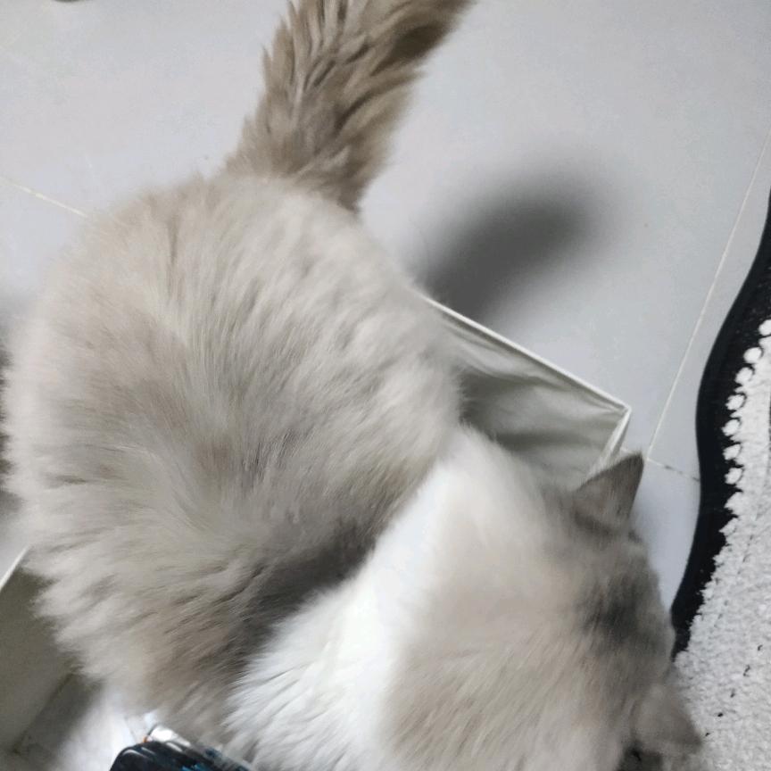 小伊优选