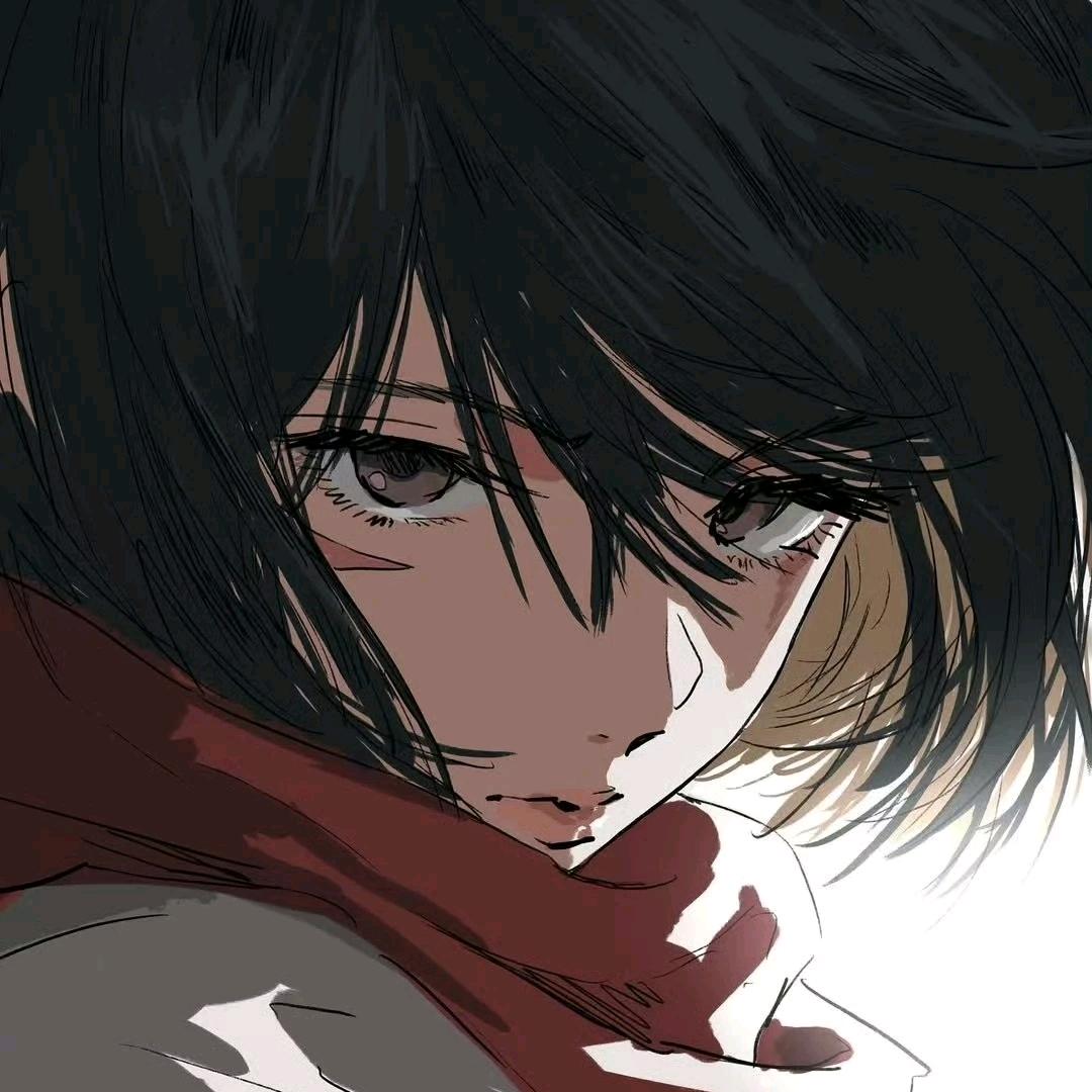 Mikasa