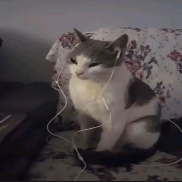 用户123456789