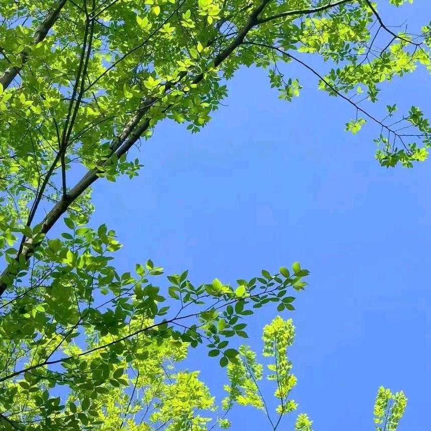 平淡，最真