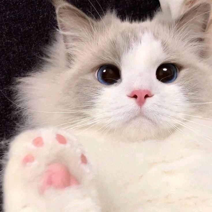 木子..好物在橱窗