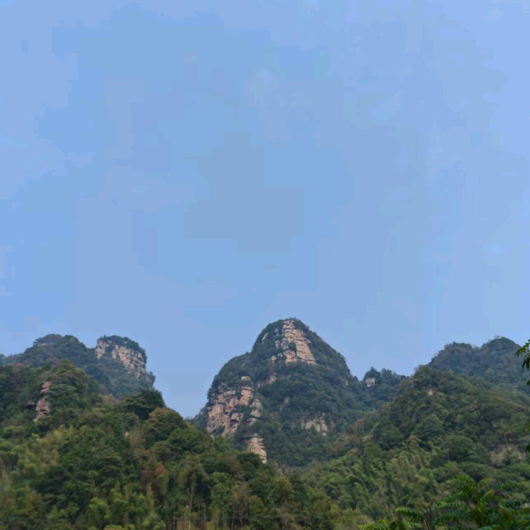 罗 罗