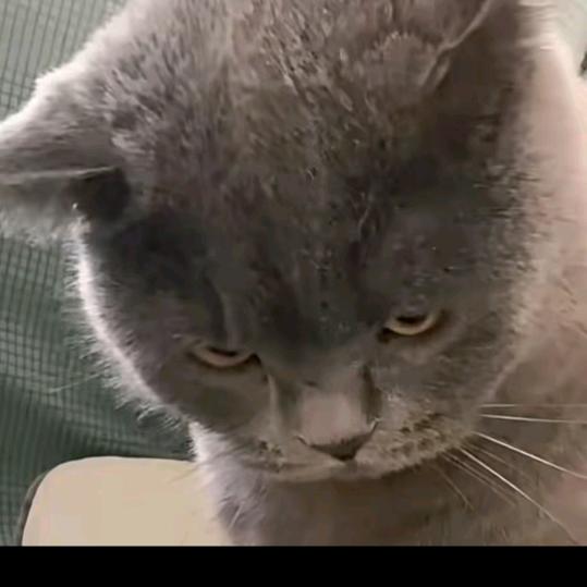 🔥ꦾོ℘💝封心🌊🔒锁爱⛵️ᥫᦸ