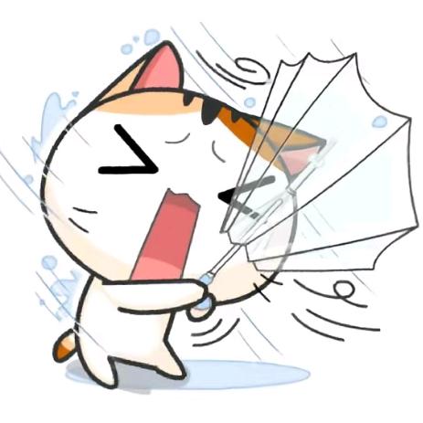 喵喵咪咪の