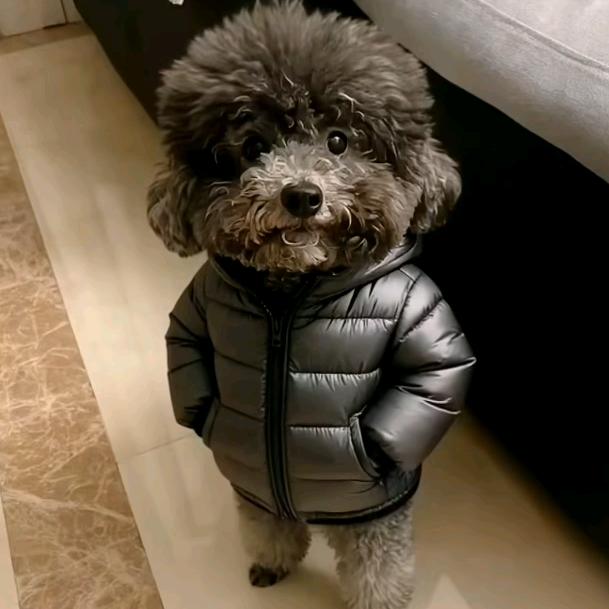 A-Liu* 永。记录生活