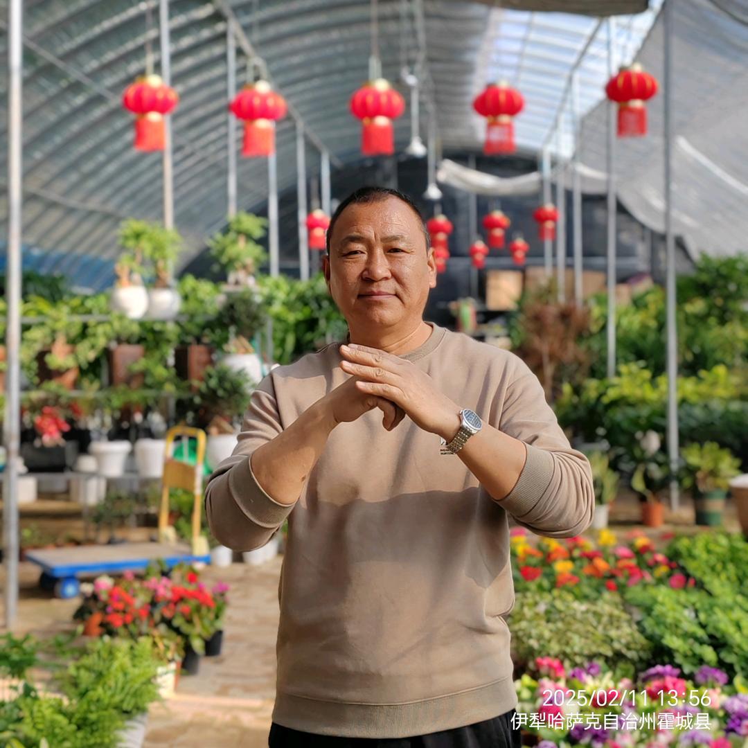 昊月花卉