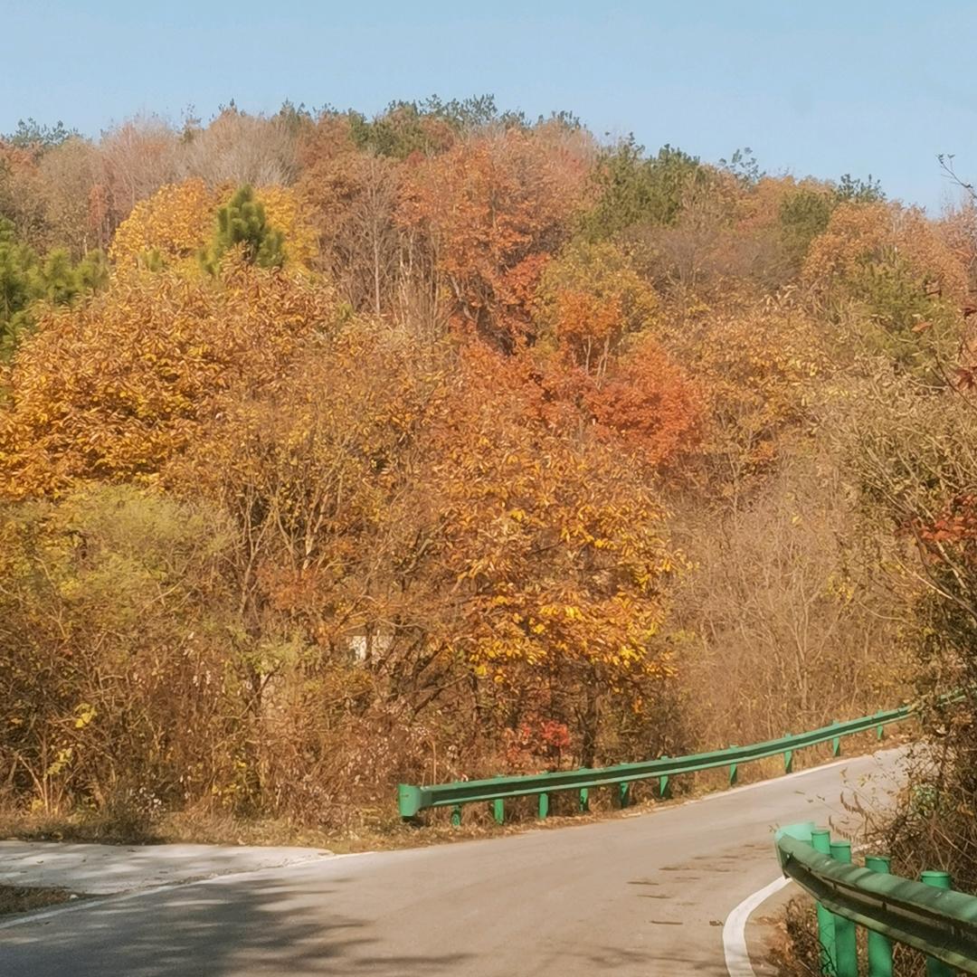 记录生活