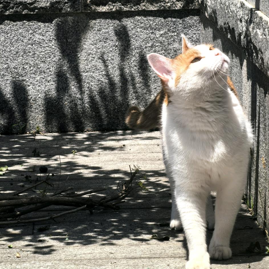 涵林路