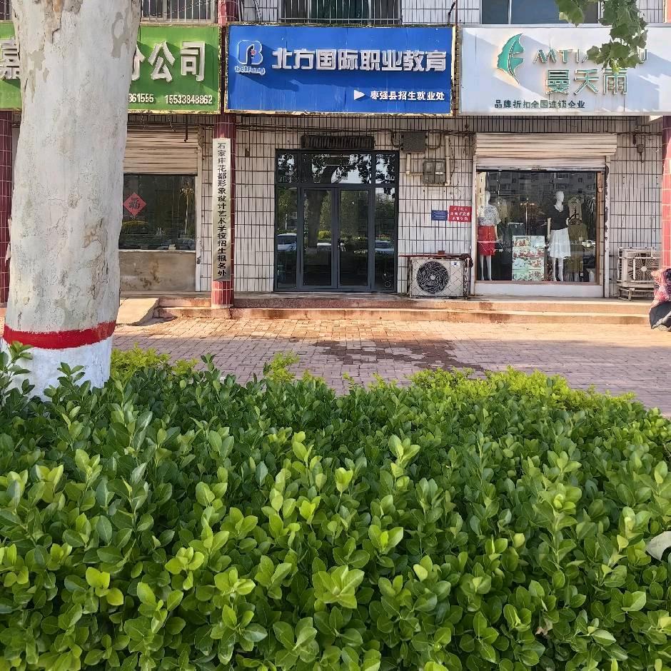齐老师升学规划