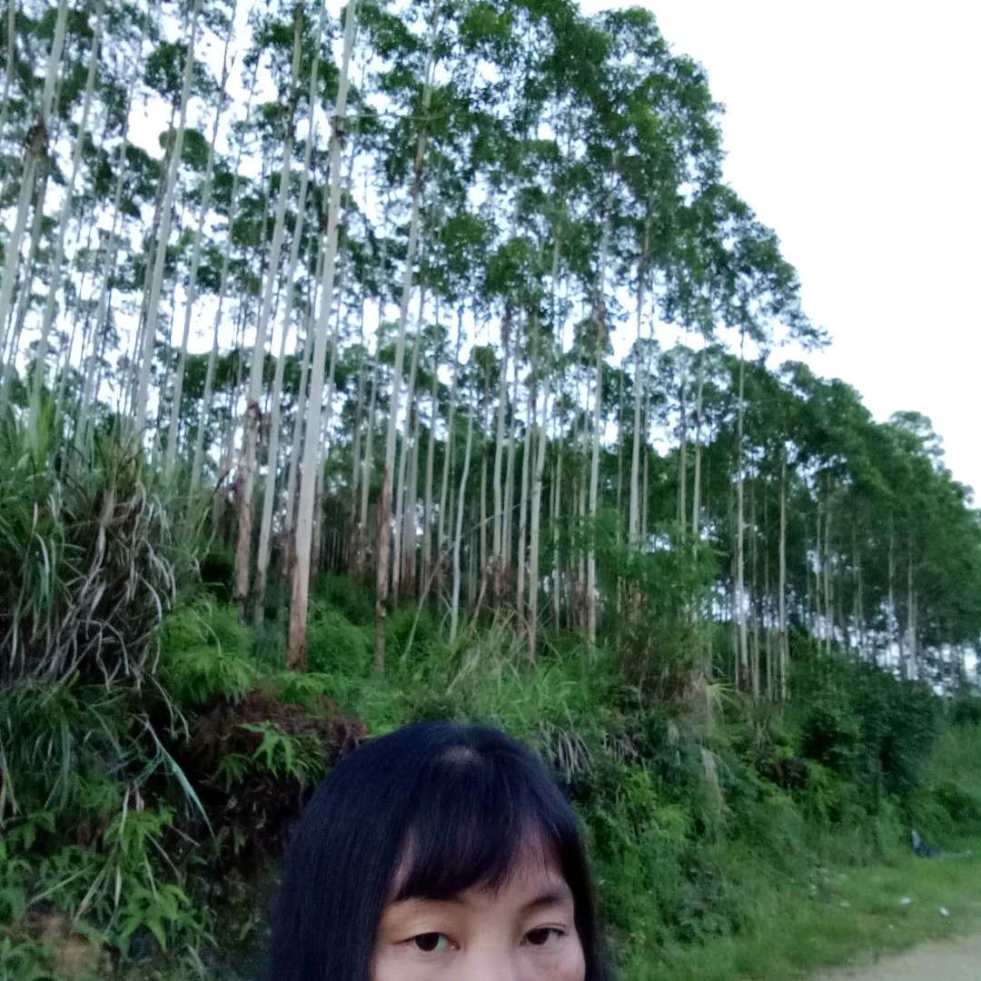 平平妹