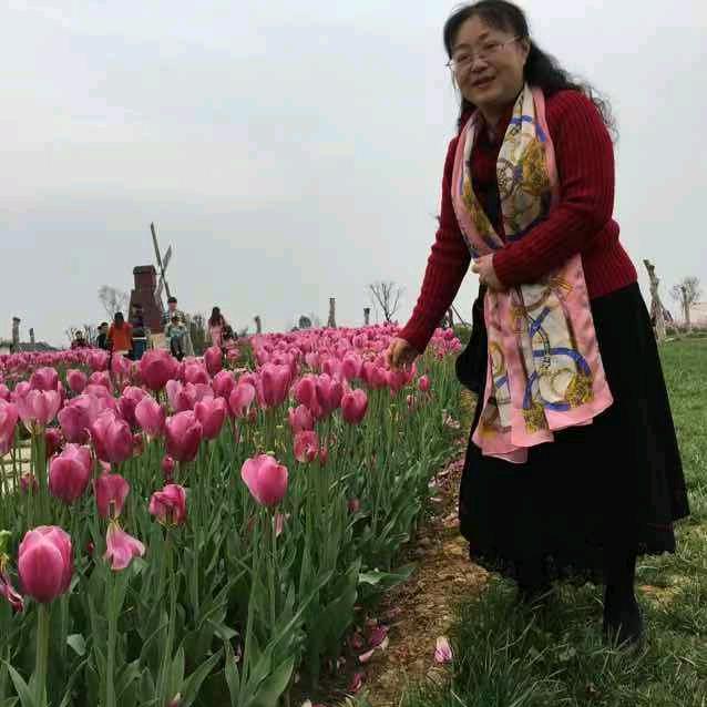 文姨的美式客厅(首播筹备中)