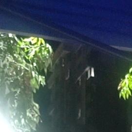 兔染染。。。223